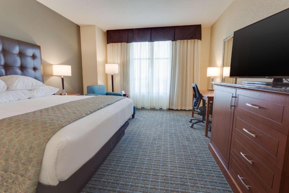Deluxe King Room - Hearing Accessible, Shower interior